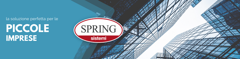 sring-piccole-imprese-banner-2.png